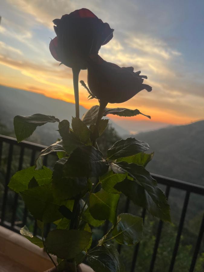 Kalasita Mahābaleshwar Exteriér fotografie